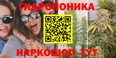 стафф Краснокаменск